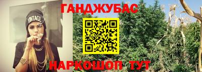 гидра Краснокаменск