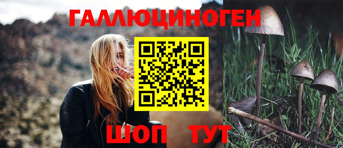 Псилоцибиновые грибы мухоморы Комсомольск-на-Амуре